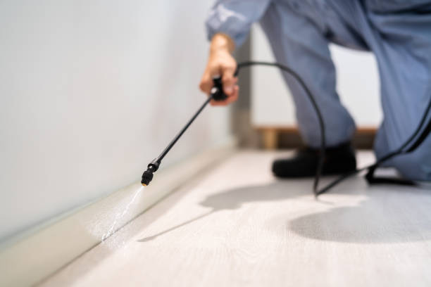 Licensed Termite Control service in North Granby, CT - Show Me Pest Control